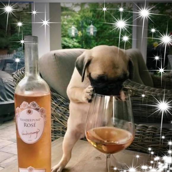 Meet your Posher, Kathy - Picture 1 of 1